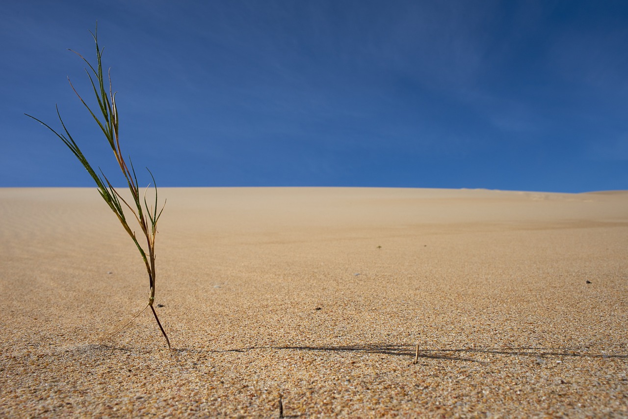 How Climate Change Influences Waste Management?